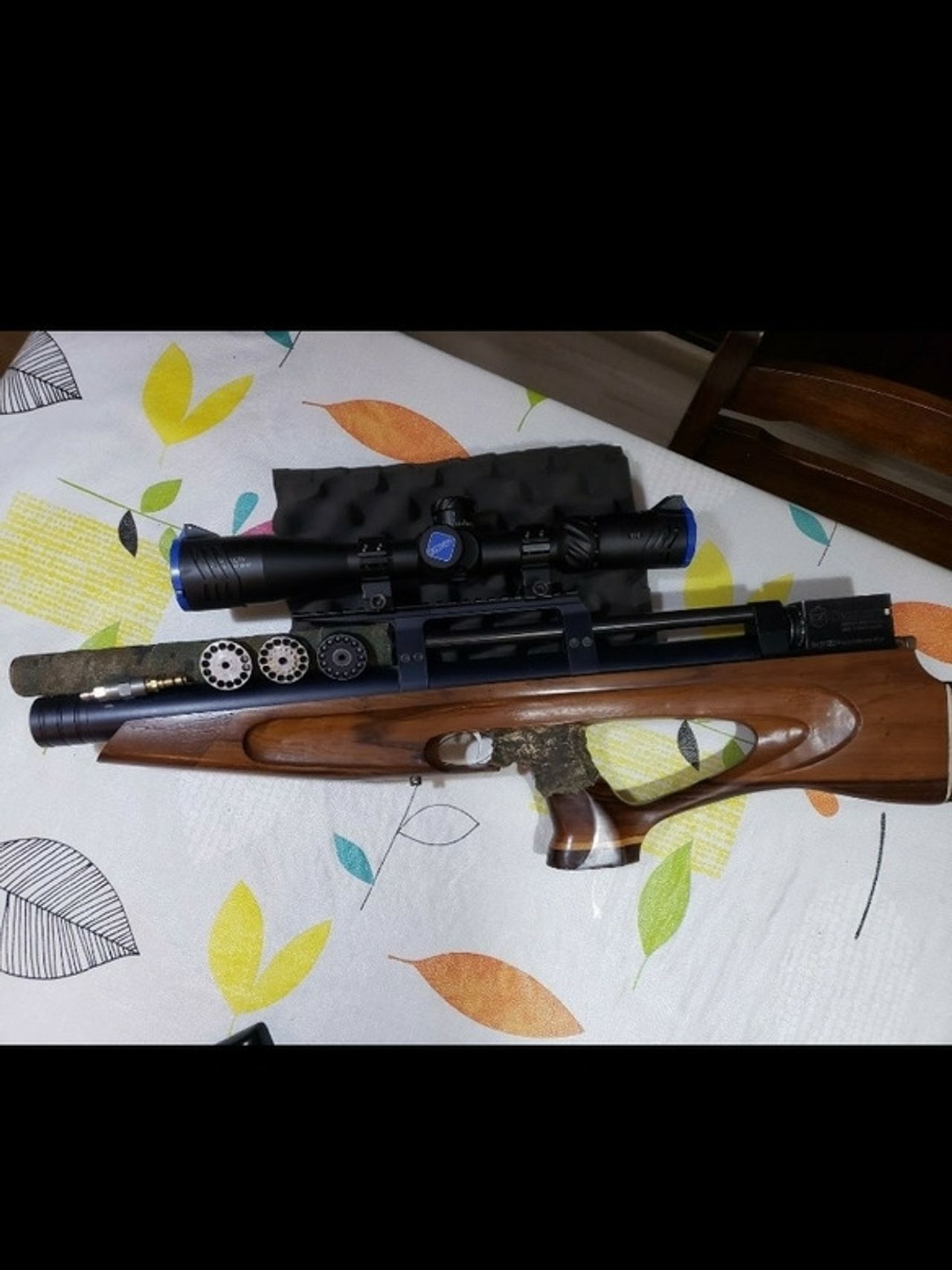 Kalibergun - Kriket