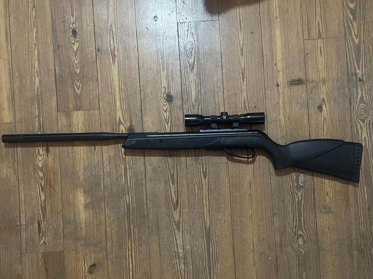 gamo - wildcat whisper