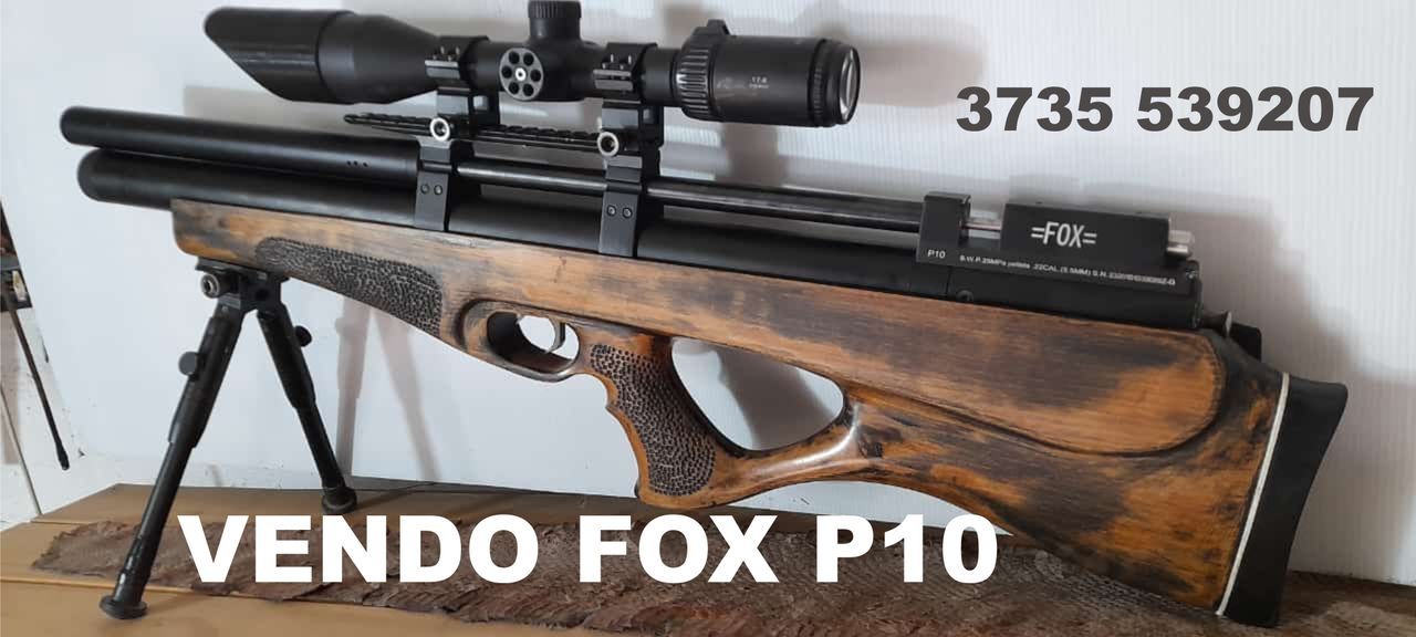 Fox - P10