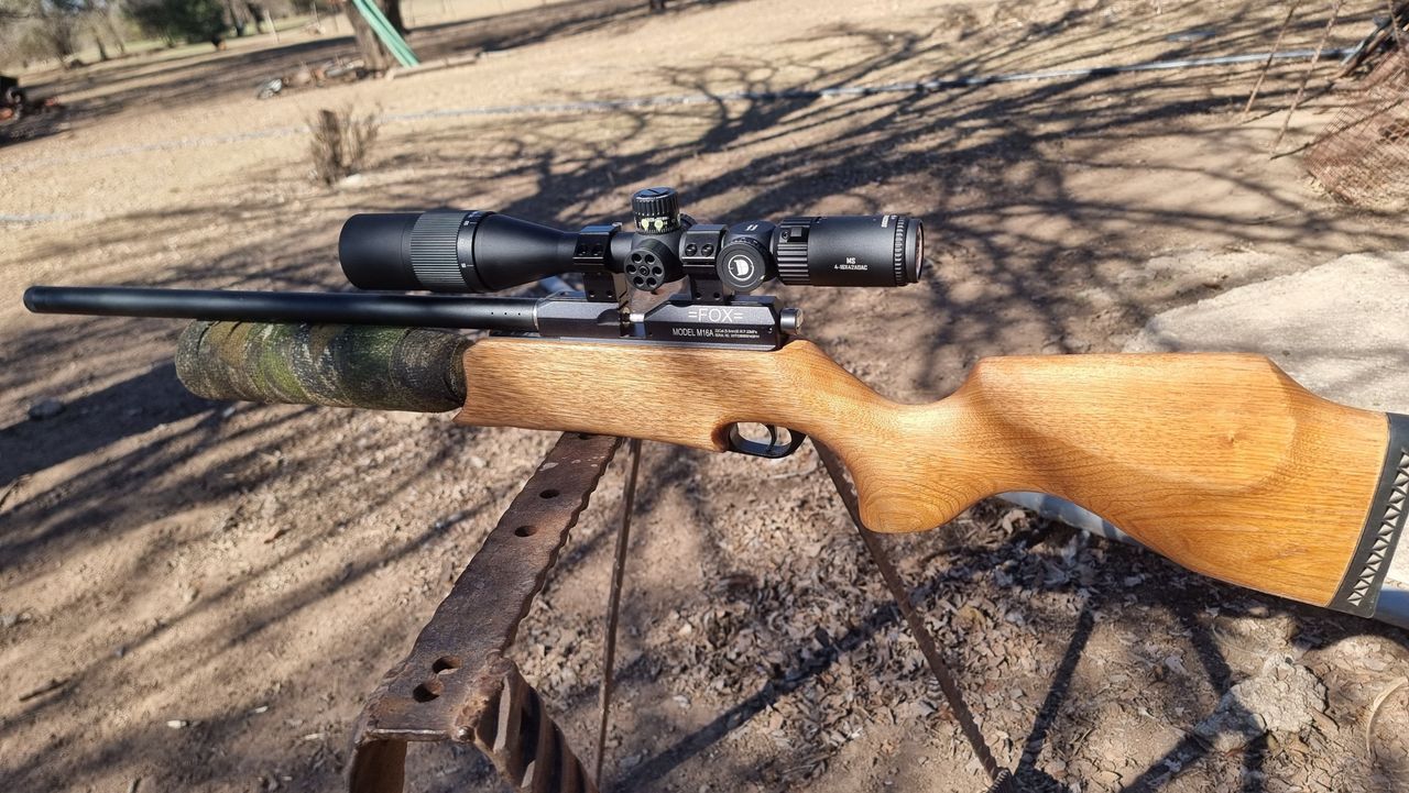 Fox - M16 a